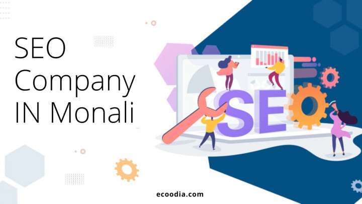 Top 10 SEO Company in Mohali 2023 - Ecoodia