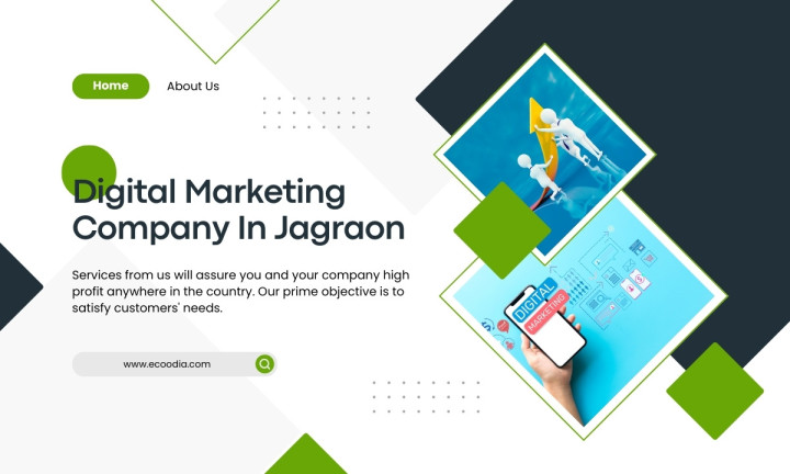 Best Digital Marketing Company In Jagraon - Ecoodia