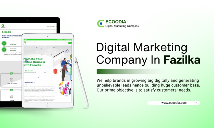 Best Digital Marketing Company In Fazilka - Ecoodia