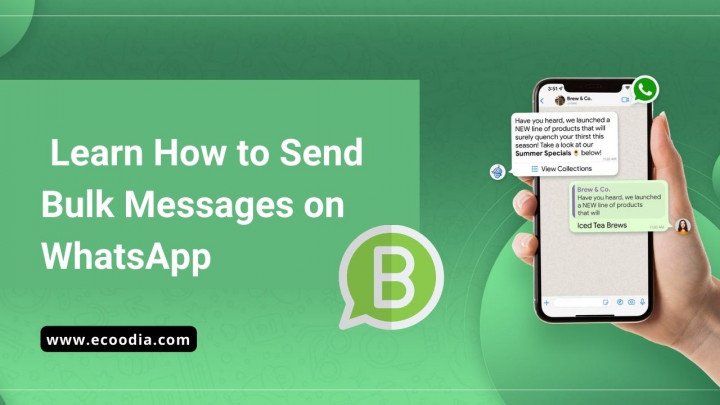 Learn How to Send Bulk Messages on WhatsApp