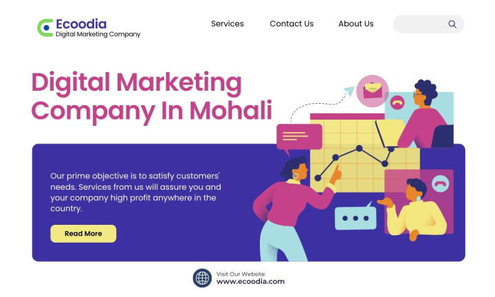 Best Digital Marketing Company In Mohali - Ecoodia