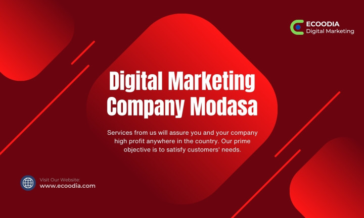 Best Digital Marketing Company In Modasa - Ecoodia