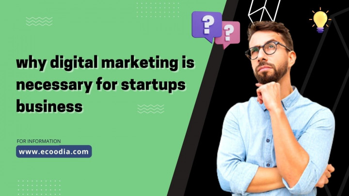 why digital marketing is necessary for startups business