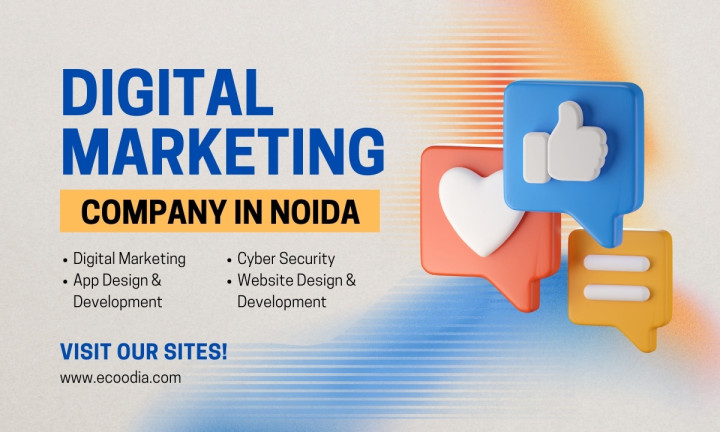 Best Digital Marketing Company In Noida - Ecoodia