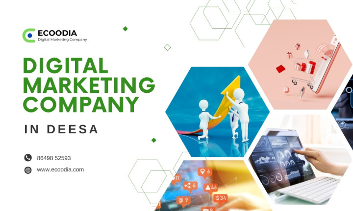 Best Digital Marketing Company In Deesa - Ecoodia