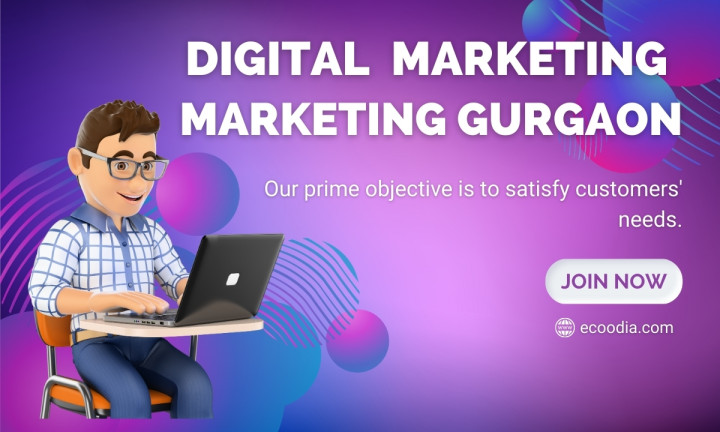 Best Digital Marketing Company In Gurgaon - Ecoodia