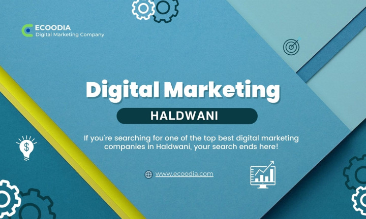 Best Digital Marketing Company In Haldwani - Ecoodia